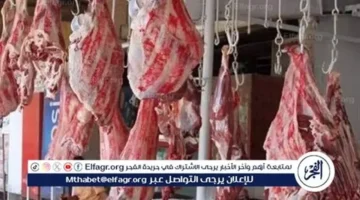 تغيرات أسعار اللحوم في أسواق محافظة أسوان يوم الخميس 26 مارس 2026